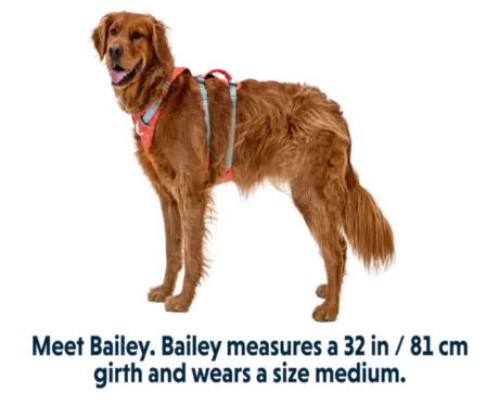 Ruffwear Flagline Salmon Pink at ithinkpets.com