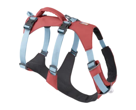 Ruffwear Flagline Salmon Pink at ithinkpets.com