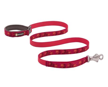Ruffwear Flat Out Alpenglow Burst at ithinkpets.com