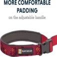 Ruffwear Flat Out Alpenglow Burst Dog Leash (Waist-worn, Hand-held Dog Leash)