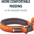 Ruffwear Flat Out Autumn Horizon Dog Leash (Waist-worn, Hand-held Dog Leash)