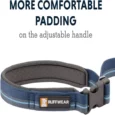 Ruffwear Flat Out Blue Horizon Dog Leash (Waist-worn, Hand-held Dog Leash)