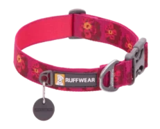 Ruffwear Flat Out Collar Alpenglow Burst at ithinkpets.com