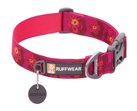 Ruffwear Flat Out Collar Alpenglow Burst at ithinkpets.com