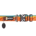 Ruffwear Flat Out Collar Fall Mountains, Dog Collar