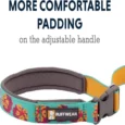 Ruffwear Flat Out Spring Burst Dog Leash (Waist-worn, Hand-held Dog Leash)