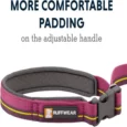 Ruffwear Flat Out Wildflower Horizon Dog Leash (Waist-worn, Hand-held Dog Leash)