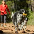 Ruffwear Gnawt a Cone, Durable Dog Toy