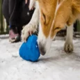 Ruffwear Gnawt a Cone, Durable Dog Toy