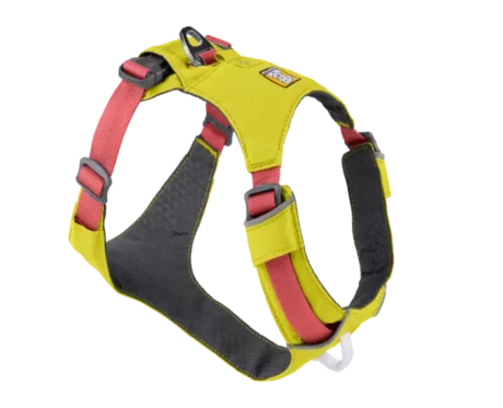 Ruffwear Hi & Light Harness Lichen Green at ithinkpets.com
