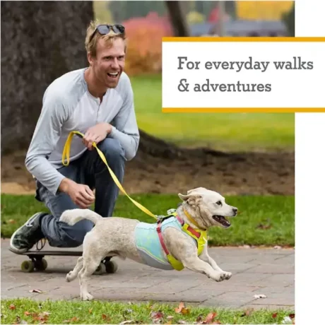 Ruffwear Hi & Light Harness Sage Green at ithinkpets.com