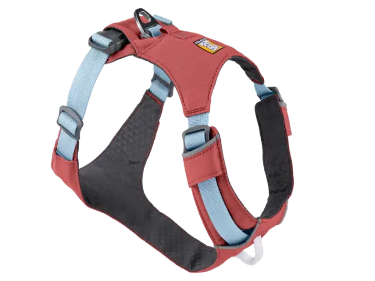 Buy Ruffwear Hi Light Harness Salmon Pink, Dog And Cat Harness ITP