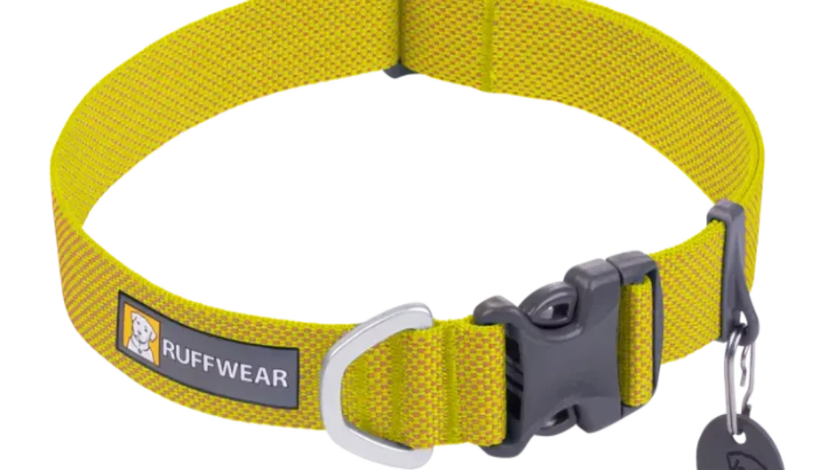 Buy Ruffwear Hi Light Lichen Green Lightweight Dog Collar