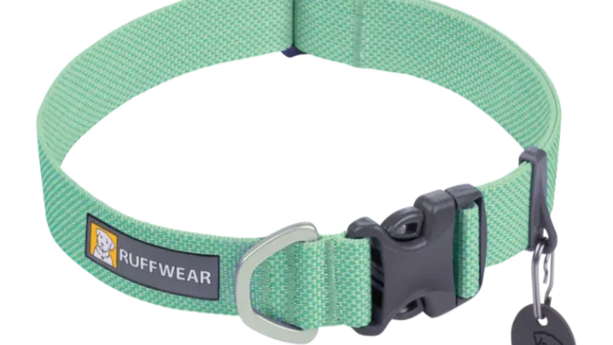 Buy Ruffwear Hi Light Sage Green Lightweight Dog Collar ITP