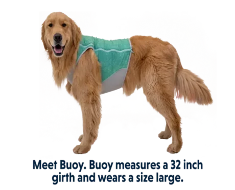 Ruffwear Jet Stream Vest Aurora Teal at ithinkpets.com