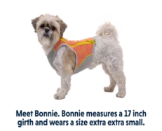 Ruffwear Jet Stream Vest Salmon Pink at ithinkpets.com