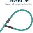 Ruffwear Just A Cinch Aurora Teal Dog Leash & Collar with Reflective Rope