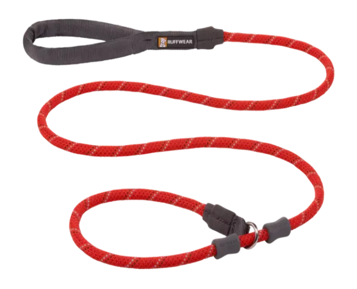 Just a cinch dog leash best sale