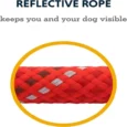 Ruffwear Just A Cinch Red Sumac Dog Leash & Collar with Reflective Rope