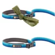 Ruffwear Roamer Bungee Leash Blue Atoll