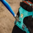 Ruffwear Roamer Bungee Leash Blue Atoll