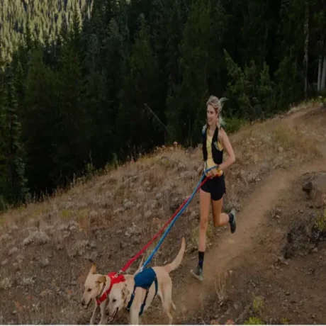 Ruffwear Roamer Bungee Leash Blue Atoll at ithinkpets.com