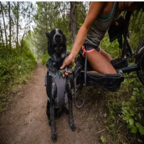 Ruffwear Roamer Bungee Leash Granite Gray at ithinkpets.com