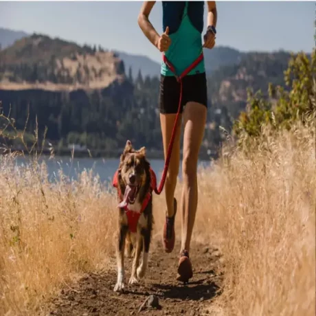 Ruffwear Roamer Bungee Leash Red Sumac at ithinkpets.com