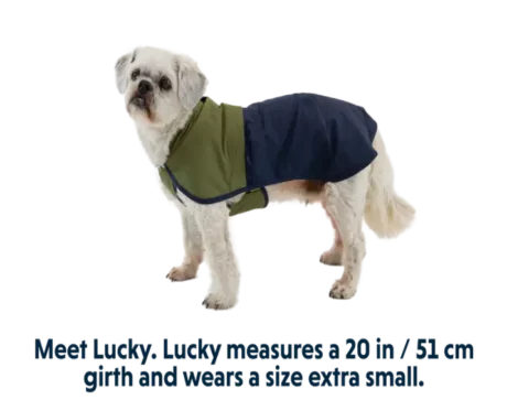Ruffwear Sun Shower Midnight Blue Dog Raincoat at ithinkpets.com