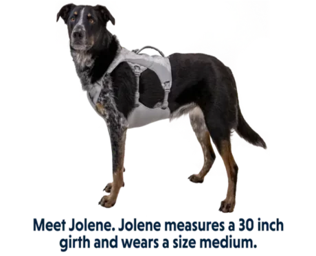 Ruffwear Swamp Cooler Graphite Gray at ithinkpets.com