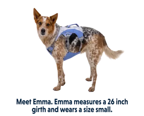 Ruffwear Swamp Cooler Heliotrope Purple at ithinkpets.com
