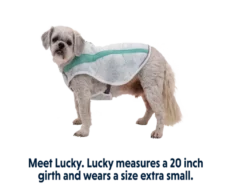 Ruffwear Swamp Cooler Sage Green at ithinkpets.com