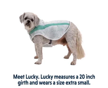 Ruffwear Swamp Cooler Sage Green at ithinkpets.com