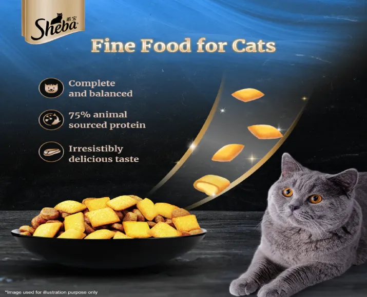 Sheba Salmon Flavour Irresistible All Life Stages Cat Dry Food at ithinkpets.com (4)