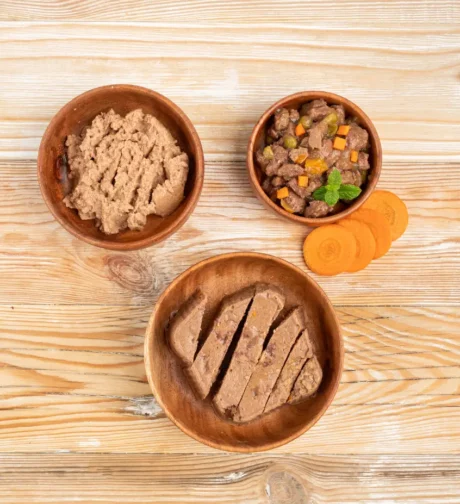 The Ultimate Guide to the Best Cat Food in India at ithinkpets
