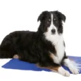 Trixie Cooling Mat, Blue