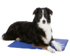Trixie Cooling Mat, Blue at ithinkpets.com (1)