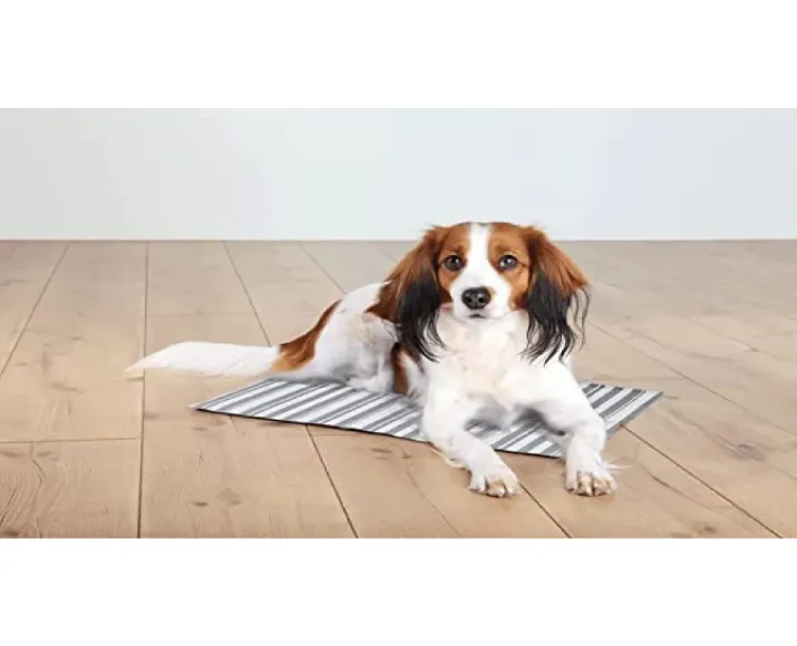 Trixie Cooling Mat for Dogs and Cats, White And Grey at ithinkpets.com (5)