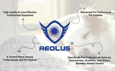 aeolus at ithinkpets.com