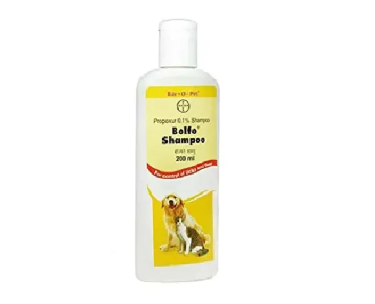 Flea Treatment Bayer Dog Shampoo Dog Shampoo Bayer Flea And Tick
