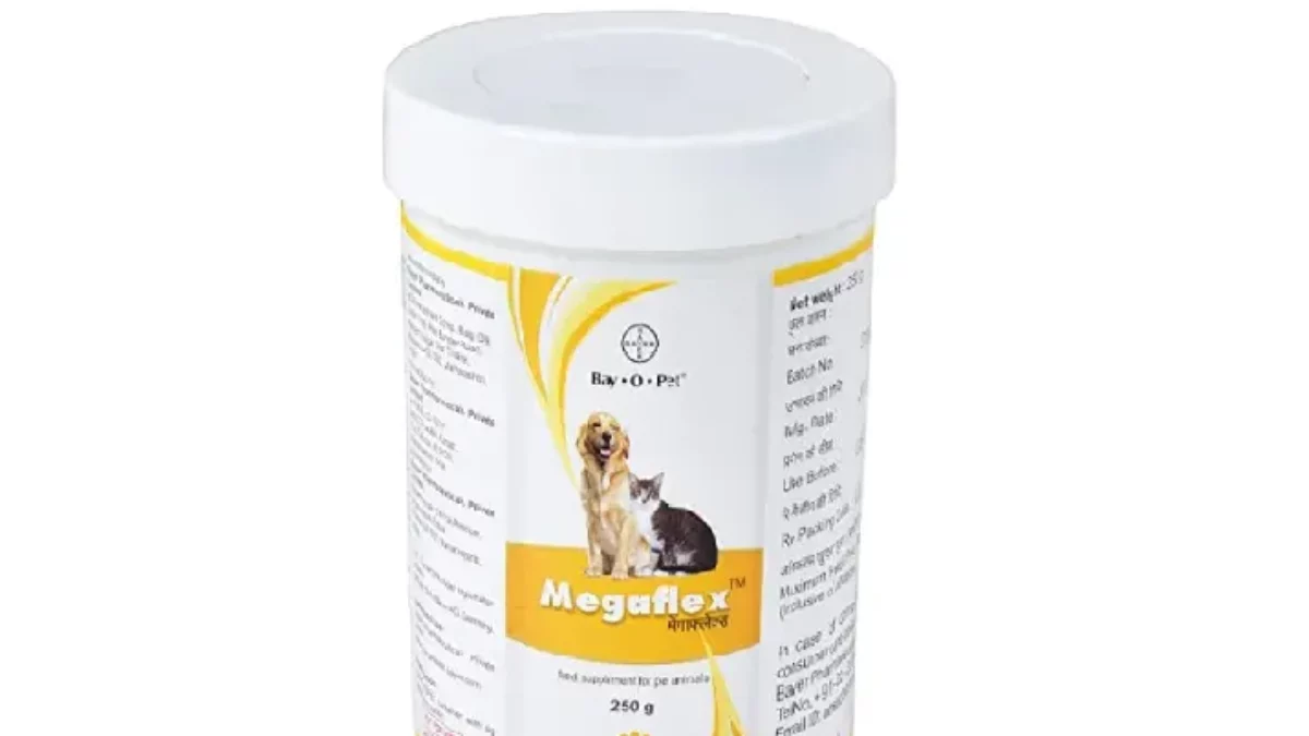 Bayer joint best sale supplement for dogs