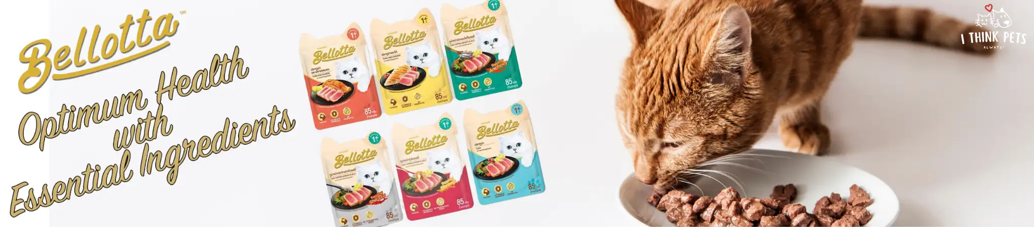 Bellotta Cat Food at ithinkpets.com