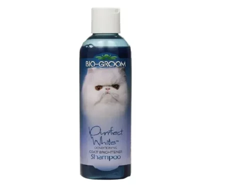 Bio-Groom Purrfect White Conditioning Cat Shampoo - 236 ml at ithinkpets.com (1) (1)