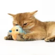 Fofos Blue Bird with Catnip balls, Cat Interavtive Toy