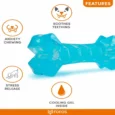 Fofos Cooling Bone Toy for Dogs