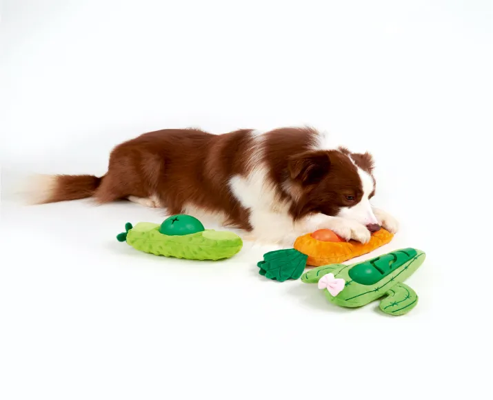 Fofos Cute Treat Dog Toy Avacado at ithinkpets.com (2)