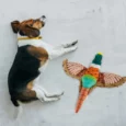 Fofos Dog Plush Toy Pheasant with Squeaker