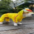 Fofos Dog Raincoat Duck, Lightweight & Waterproof