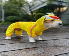 Fofos Dog Raincoat Duck, Lightweight & Waterproof at ithinkpets.com (2)