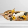 Fofos Eagle with Catnip balls, Cat Interavtive Toy